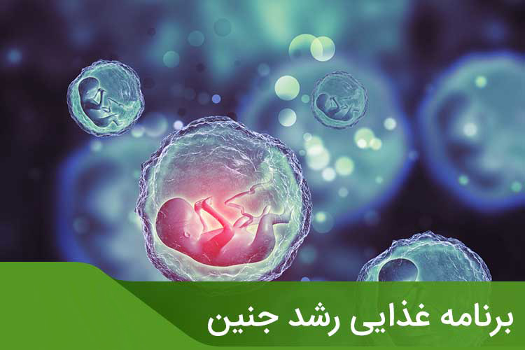 سریعترین راه برای وزن گیری جنین در طب سنتی