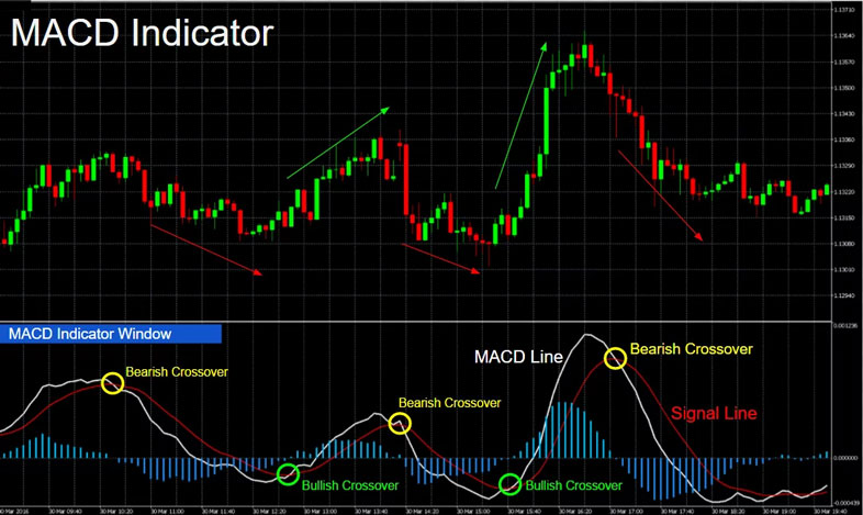 نحوه استفاده از اندیکاتور MACD در تحلیل فارکس