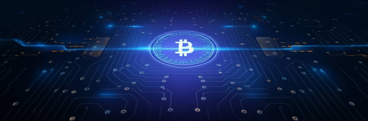کیف پول اکسودوس (Exodus Wallet): راهنمای جامع و کامل