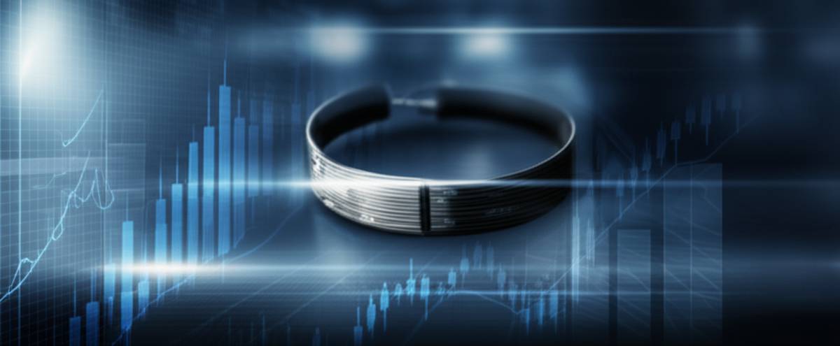 قیمت پابند الکترونیکی سال ۱۴۰۳ | جدیدترین نرخ ها و جزئیات