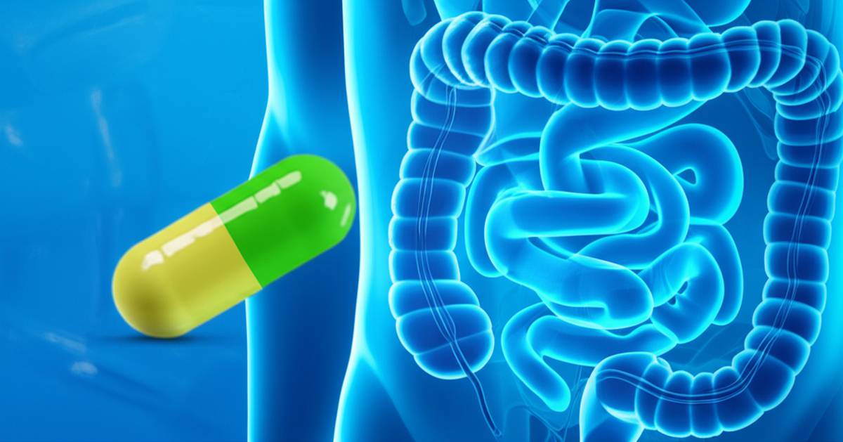 کپسول انتریک کوتد کلپرمین تیلوتس فارما | نقد و بررسی جامع